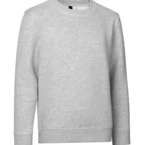 Sweatshirt Crew-neck Ungdom